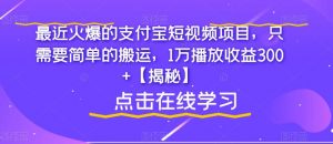 最近火爆的支付宝短视频项目，只需要简单的搬运，1万播放收益300+【揭秘】-葛仙仙资源库