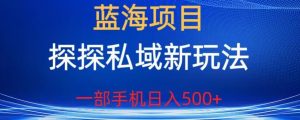 蓝海项目,探探私域新玩法,一部手机日入500+很轻松【揭秘】-葛仙仙资源库