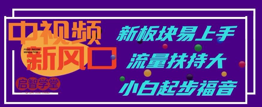 中视频新风口，新板块易上手，流量扶持大，小白起步福音【揭秘】-葛仙仙资源库