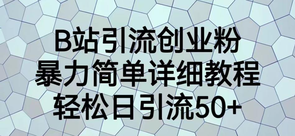 B站引流创业粉，暴力简单详细教程，轻松日引流50+【揭秘】-葛仙仙资源库