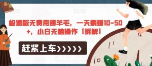 极速版无费用薅羊毛，一天躺赚10-50+，小白无脑操作【拆解】-葛仙仙资源库