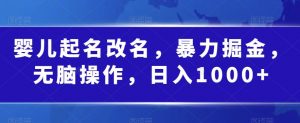 婴儿起名改名,暴力掘金,无脑操作,日入1000+【揭秘】-葛仙仙资源库