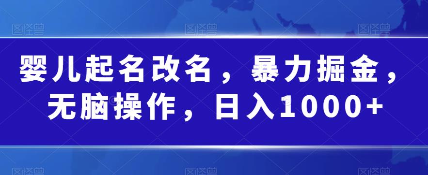 婴儿起名改名，暴力掘金，无脑操作，日入1000+【揭秘】-葛仙仙资源库