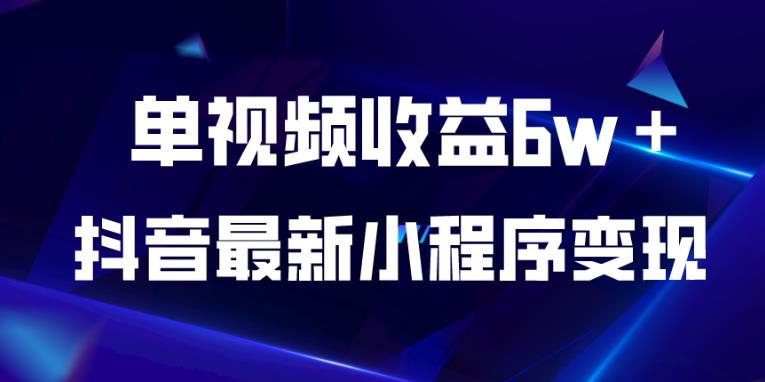 抖音最新小程序变现项目，单视频收益6w＋，小白可做【揭秘】-葛仙仙资源库