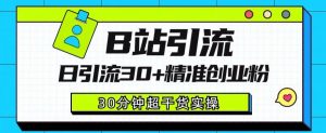 B站引流日引流30+精准创业粉,超详细B站引流创业粉玩法【揭秘】-葛仙仙资源库