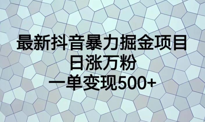 最新抖音暴力掘金项目，日涨万粉，一单变现500+【揭秘】-葛仙仙资源库