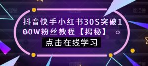 抖音快手小红书30S突破100W粉丝教程【揭秘】-葛仙仙资源库