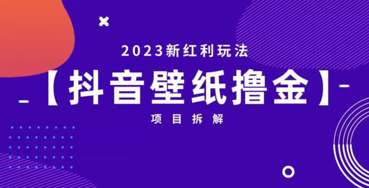 抖音壁纸小程序创作者撸金项目，2023新红利玩法【项目拆解】-葛仙仙资源库