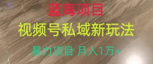 蓝海项目,视频号私域新玩法,暴力项目月入1万+【揭秘】-葛仙仙资源库
