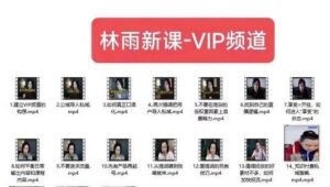 林雨新课VIP频道,玩赚私域/朋友圈/社群-葛仙仙资源库