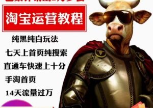 猫老师·淘系算法逆向解密,纯黑纯白玩法,七天上首页纯搜索,手淘首页14天流量过万-葛仙仙资源库