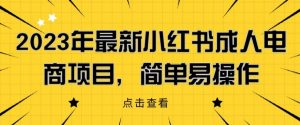 2023年最新小红书成人电商项目,简单易操作【详细教程】【揭秘】-葛仙仙资源库