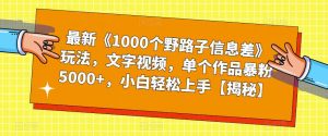 最新《1000个野路子信息差》玩法，文字视频，单个作品暴粉5000+，小白轻松上手【揭秘】-葛仙仙资源库