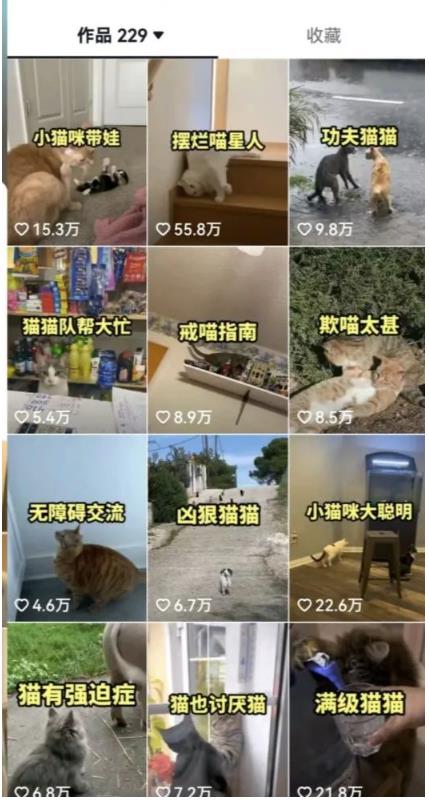 拆解：抖音盘点类中视频变现副业项目，视频版一条龙大解析分享给你-葛仙仙资源库
