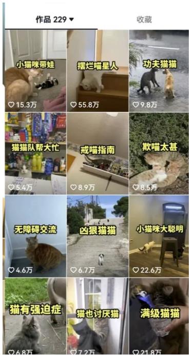 拆解抖音盘点类中视频变现副业项目，视频版一条龙大解析分享给你【视频课程】-葛仙仙资源库