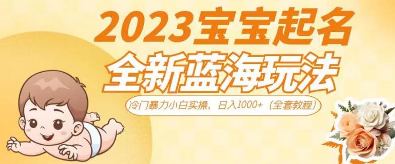 2023宝宝起名全新蓝海玩法，冷门暴力小白实操，日入1000+（全套教程）【揭秘】-葛仙仙资源库