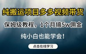 纯搬运项目多多视频带货保姆级教程,1个月搞5w佣金,纯小白也能学会【揭秘】-葛仙仙资源库
