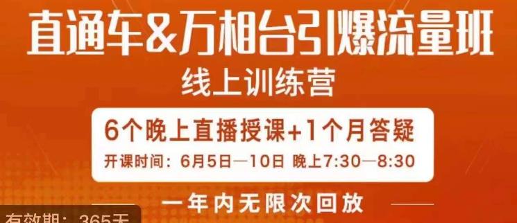 直通车&万相台引爆流量班，6天打通你开直通车·万相台的任督二脉-葛仙仙资源库