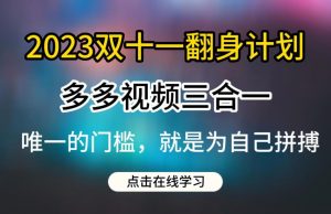 2023双十一翻身计划，多多视频带货三合一玩法教程【揭秘】-葛仙仙资源库