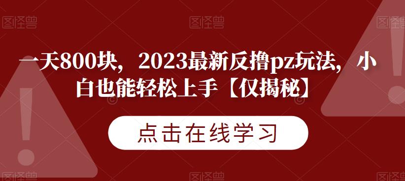 一天800块，2023最新反撸pz玩法，小白也能轻松上手【仅揭秘】-葛仙仙资源库