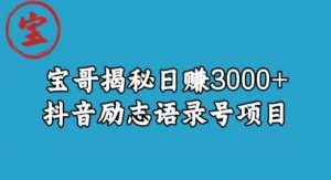 宝哥揭秘日赚3000+抖音励志语录号短视频变现项目-葛仙仙资源库