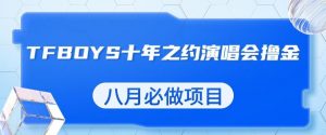 最新蓝海项目,靠最近非常火的TFBOYS十年之约演唱会流量掘金,八月必做的项目【揭秘】-葛仙仙资源库