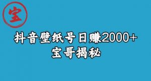 宝哥抖音壁纸号日赚2000+,不需要真人露脸就能操作【揭秘】-葛仙仙资源库