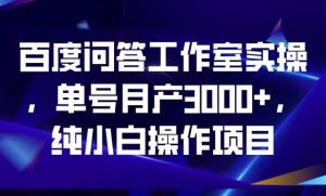 百度问答工作室实操,单号月产3000+,纯小白操作项目【揭秘】-葛仙仙资源库