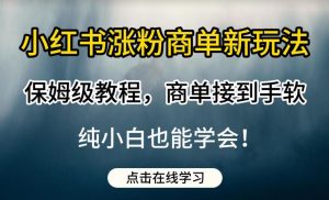 小红书涨粉商单新玩法,保姆级教程,商单接到手软,纯小白也能学会【揭秘】-葛仙仙资源库