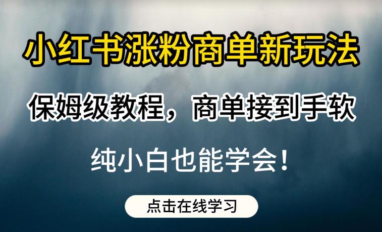 小红书涨粉商单新玩法，保姆级教程，商单接到手软，纯小白也能学会【揭秘】-葛仙仙资源库
