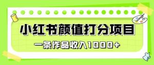 最新蓝海项目,小红书颜值打分项目,一条作品收入1000+【揭秘】-葛仙仙资源库