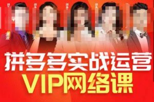 推易拼多多VIP全套直播课程,拼多多店铺实操玩法+实战玩法选款内功+直通车高阶等-葛仙仙资源库