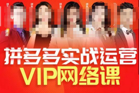 推易拼多多VIP全套直播课程，拼多多店铺实操玩法+实战玩法选款内功+直通车高阶等-葛仙仙资源库