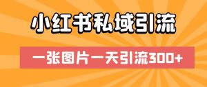 小红书私域引流,一张图片一天引流300+【揭秘】-葛仙仙资源库