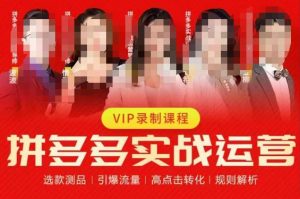 2023推易拼多多实战运营,选款测品、引爆流量、高点击转化、规则解析-葛仙仙资源库