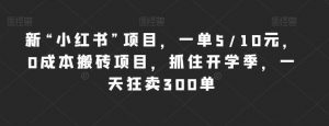 新“小红书”项目,一单5/10元,0成本搬砖项目,抓住开学季,一天狂卖300单【揭秘】-葛仙仙资源库