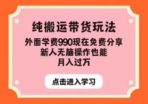 纯搬运带货玩法，外面学费990现在免费分享，新人无脑操作也能月入过万【揭秘】-葛仙仙资源库