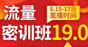秋秋线上流量密训班19.0,打通流量关卡,线上也能实战流量破局-葛仙仙资源库