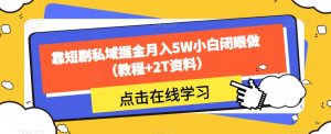 靠短剧私域掘金月入5W小白闭眼做(教程+2T资料)-葛仙仙资源库