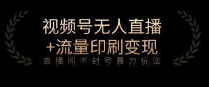 全网首发视频号不封号无人直播暴利玩法+流量印刷机变现,日入1000+【揭秘】-葛仙仙资源库