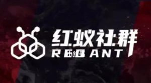 社群运营:红蚁社群【48节落地系统课程+2000人高端社群】-葛仙仙资源库