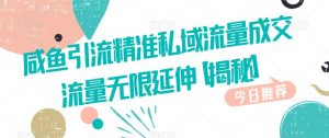咸鱼引流精准私域流量成交流量无限延伸【揭秘】-葛仙仙资源库