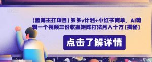【蓝海主打项目】多多v计划+小红书商单,AI剪辑一个视频三份收益矩阵打法月入十万【揭秘】-葛仙仙资源库