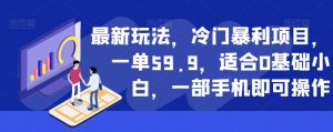 最新玩法，冷门暴利项目，一单59.9，适合0基础小白，一部手机即可操作【揭秘】-葛仙仙资源库