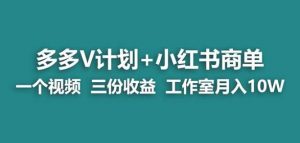 【蓝海项目】多多v计划+小红书商单一个视频三份收益工作室月入10w-葛仙仙资源库