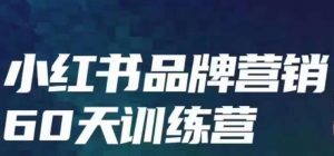 小红书品牌60天训练营第6期,GMV2亿级品牌老板都在学,教会你内容营销底层逻辑-葛仙仙资源库