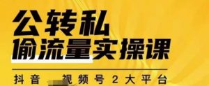 群响公转私偷流量实操课,致力于拥有更多自持,持续,稳定,精准的私域流量!-葛仙仙资源库
