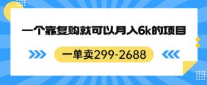 一单卖299-2688，一个靠复购就可以月入6k的暴利项目【揭秘】-葛仙仙资源库