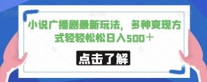 小说广播剧最新玩法,多种变现方式轻轻松松日入500+【揭秘】-葛仙仙资源库