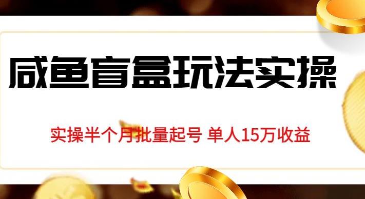 独家首发咸鱼盲盒玩法实操，半个月批量起号单人15万收益【揭秘】-葛仙仙资源库